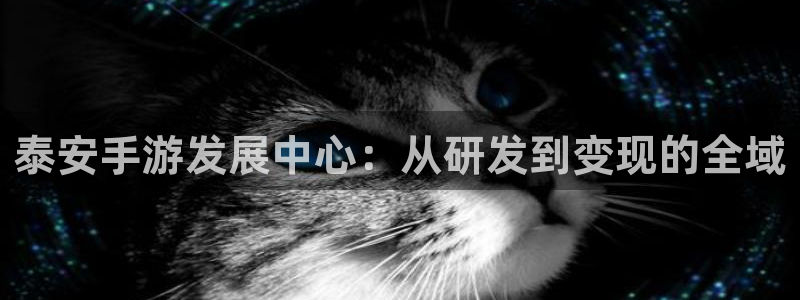 大神吧28官网预测：泰安手游发展中心：从研发到变现的全域