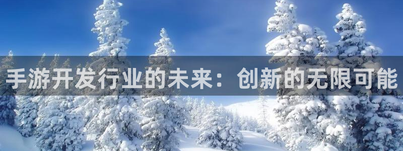 28大神在线：手游开发行业的未来：创新的无限可能