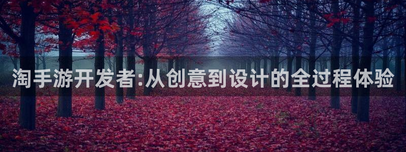 雷火电竞开奖预测网站刘伯温：淘手游开发者:从创意到设计的全过