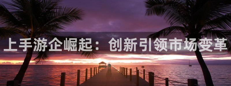 pc28大神下载安卓：上手游企崛起：创新引领市场变革