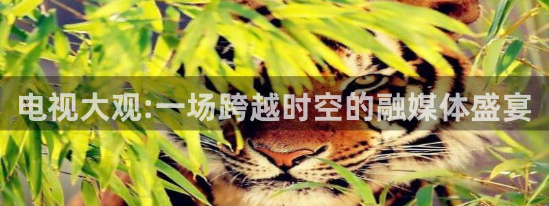 51视频在线直播nba：电视大观:一场跨越时空的融媒体盛宴