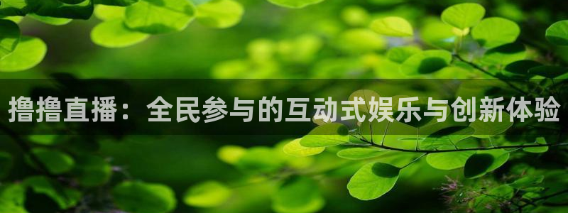 51视频在线直播nba：撸撸直播：全民参与的互动式娱乐与创新体验