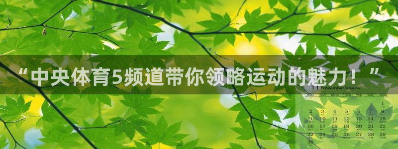 51视频在线直播nba：“中央体育5频道带你领略运动的魅力！”