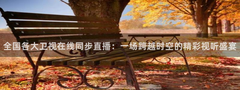 51视频在线直播nba：全国各大卫视在线同步直播：一场跨越时空的精彩视听盛宴
