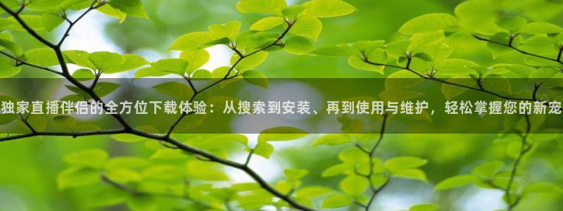 51视频在线直播nba：独家直播伴侣的全方位下载体验：从搜索到安装、再到使用与维护，轻松掌握您的新宠