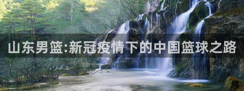 51视频在线直播nba：山东男篮:新冠疫情下的中国篮球之路